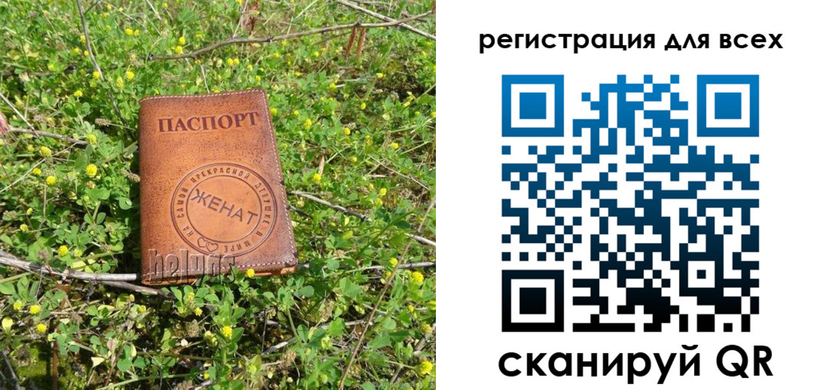 прописка регистрация в Светлогорске